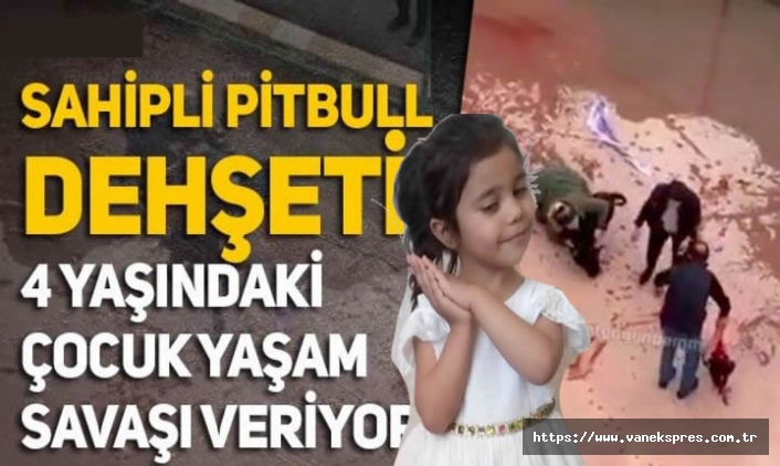 4 yaşındaki ateş çocuk pitbull saldırısına uğradı!