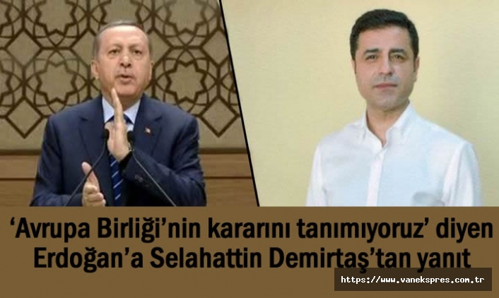 ‘AB’nin kararını tanımıyoruz’ diyen Erdoğan’a Demirtaş’tan yanıt