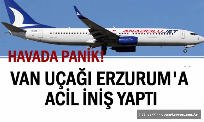 Van Uçağı Erzurum’a İndi