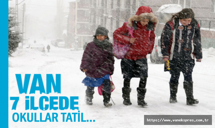 Van'da kar yağışı: 7 ilçede okullar tatil edildi