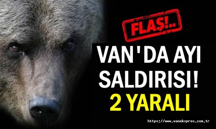 Van'da ayı saldırısı: 2 Yaralı